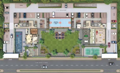 The Evolution Image 11