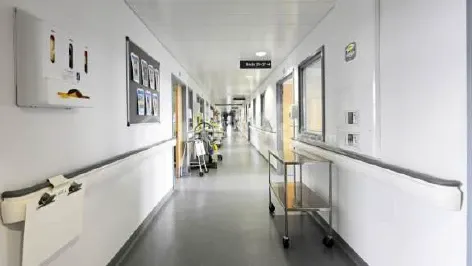 Piramyd Icon Image 5