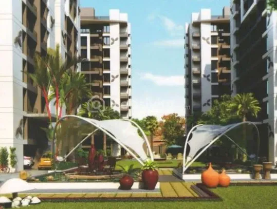 Silicon Palm Image 4