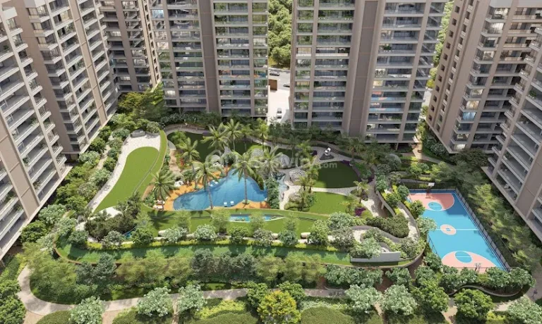 Avadh Martella Image 11