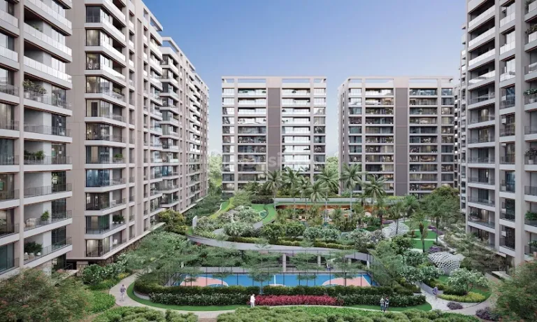 Avadh Martella Image 12