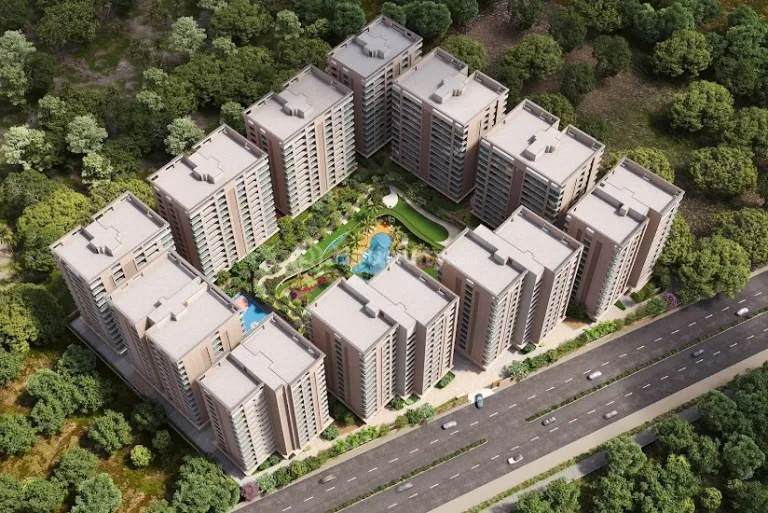 Avadh Martella Image 14