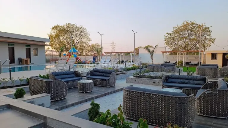 Palm Paradise Image 4