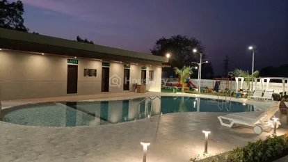 Palm Paradise Image 5