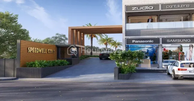 Speedwell Gold Image 3