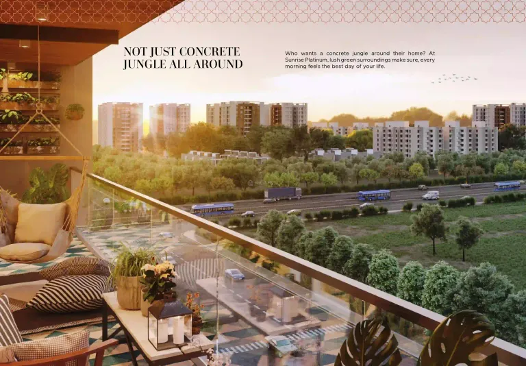 Sunrise Platinum Image 4