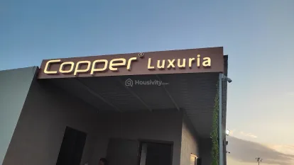 Copper Luxuria Image 5