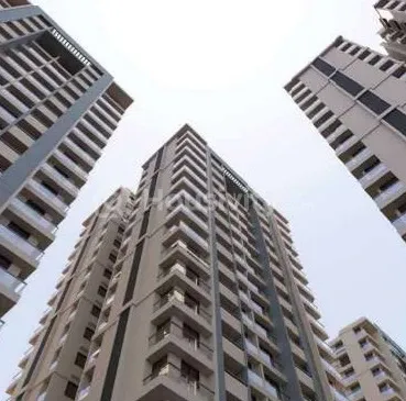 Shyamal Satva Image 7