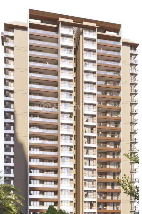 Shyamal Shashwat Image 3