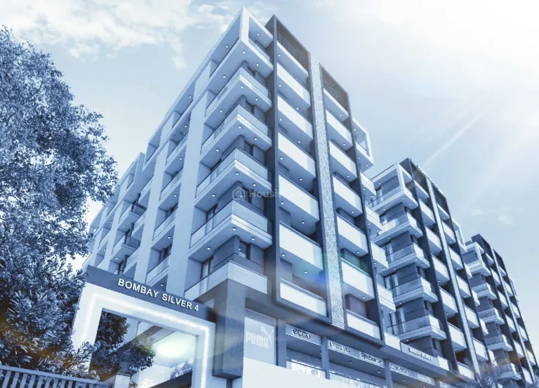 Bombay Silver 4 Image 4