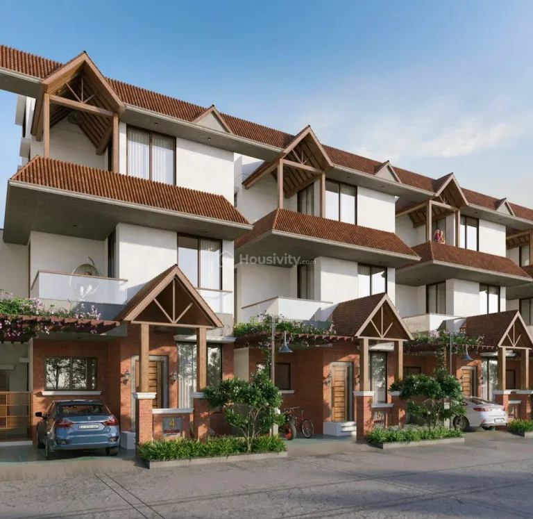 Oscar Kingsville Image 1