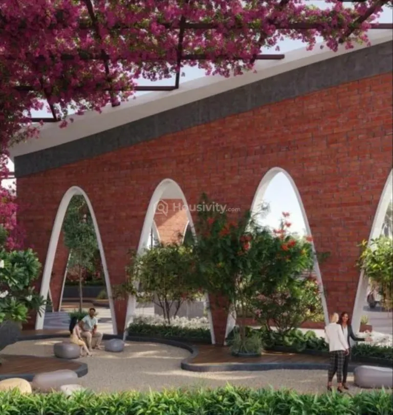 Oscar Kingsville Image 4