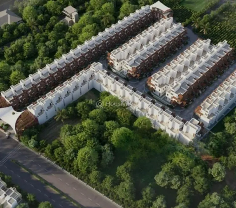 Oscar Kingsville Image 6