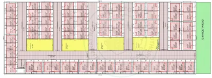 Parmanand Orchid Image 7