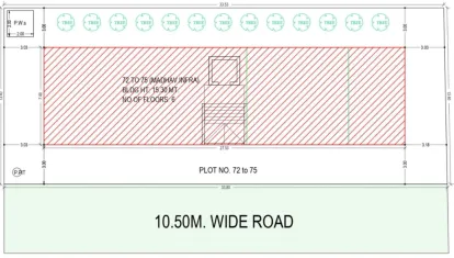 Sanidhya  Flora Image 6