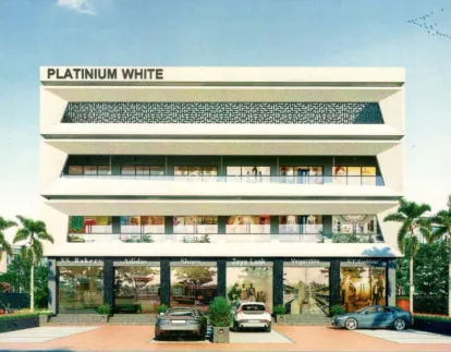 Platinium White Thumbnail