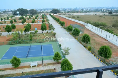 Manana. ASHRAYA Image 2
