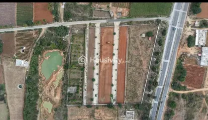 Oraiyan Nandi City Image 2