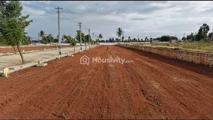Oraiyan Nandi City Image 1
