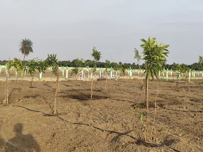 ₹24 L Image 3