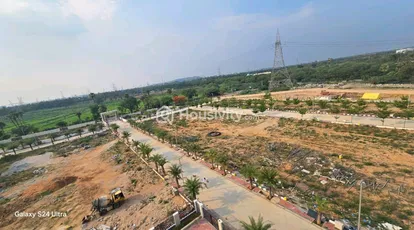 Sparrow's Uravi Image 1