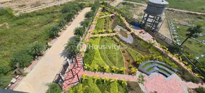 Sparrow's Uravi Image 3