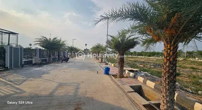 Sparrow's Uravi Image 2