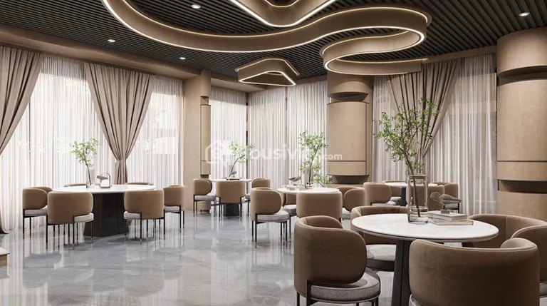 The Attraction Image 1