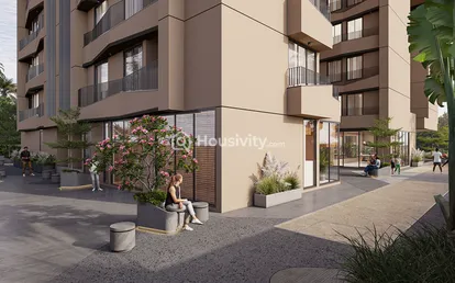 The Attraction Image 5