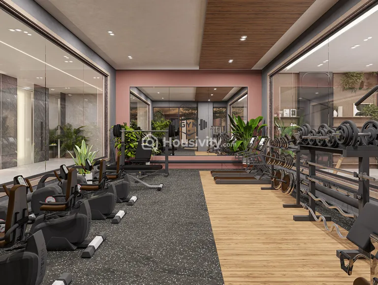 The Attraction Image 10