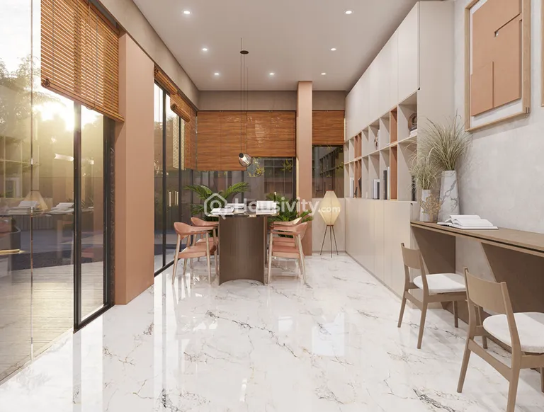 The Attraction Image 12