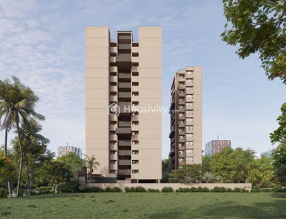 The Attraction Image 15