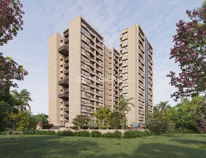 The Attraction Image 13