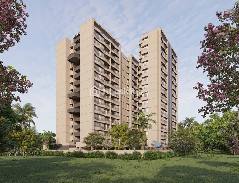 The Attraction Image 13