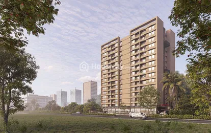 The Attraction Image 14