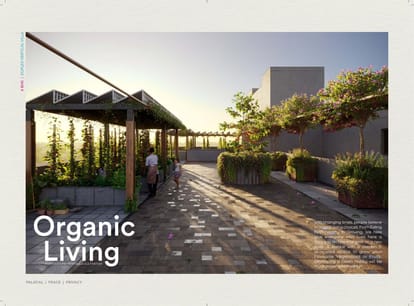 The Bougainvillea Brochure Image 14