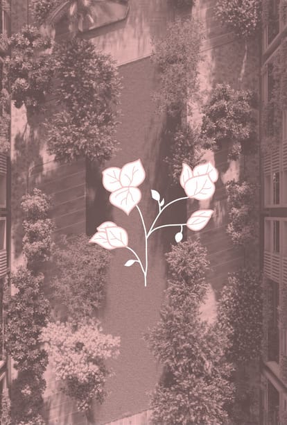 The Bougainvillea Brochure Image 1