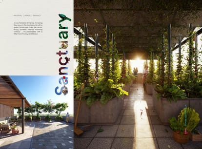 The Bougainvillea Brochure Image 13