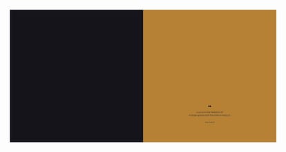 Saamarth Posh Ville Brochure Image 4