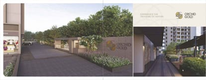 Orchid Gold Brochure Image 3