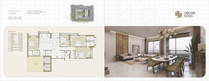Orchid Gold Brochure Image 14