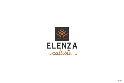 Elenza Callista Brochure Image 1