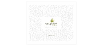 Asopalav Enigma Brochure Image 1