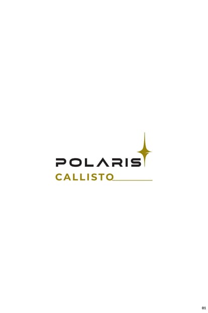 Polaris Callisto Brochure Image 1