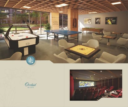 Orchid Blues Brochure Image 14