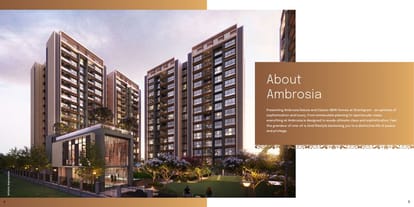 Ambrosia Brochure Image 3