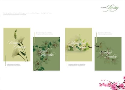 Silver Spring Brochure Image 4