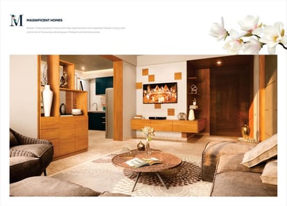 Silver Spring Brochure Image 11