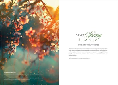 Silver Spring Brochure Image 2