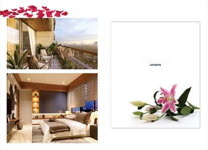 Silver Spring Brochure Image 12